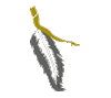 healing feather