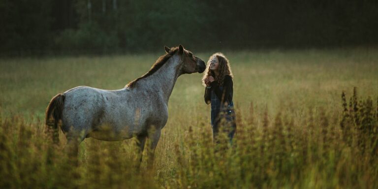 From Horse to Human, Heart to Heart