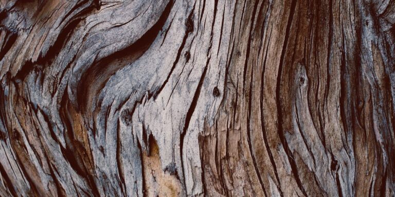 The energy of growth and its impact on the new year